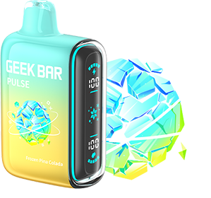 GEEK BAR PULSE 15000 PUFFS - FROZEN EDITION